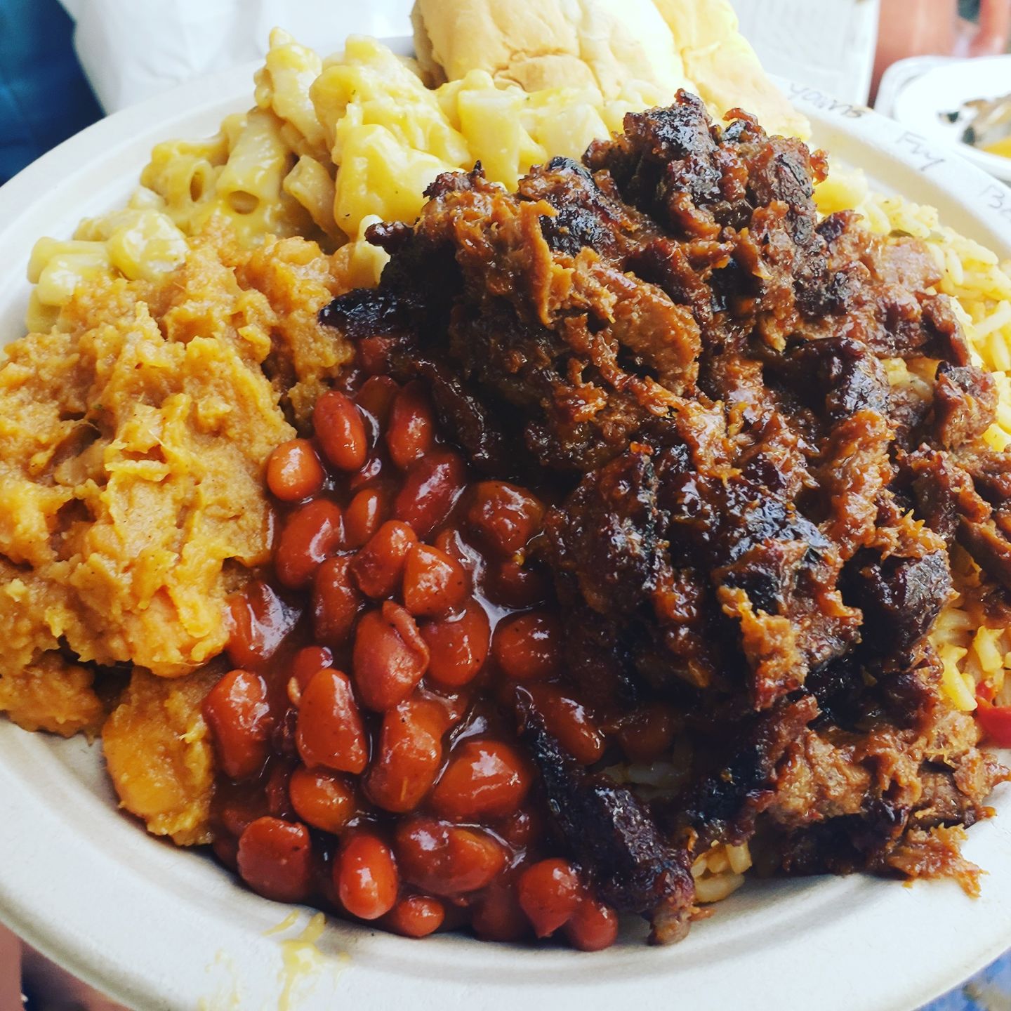 Southern fried vegan 3 vegfest.jpg